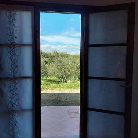 I Girasoli Di Lari - Bilocale La Margherita Apartment