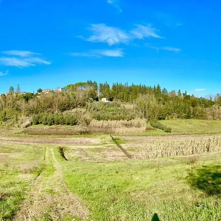 Apartment I Girasoli Di Lari - Bilocale La Margherita Rivoli (Pisa)