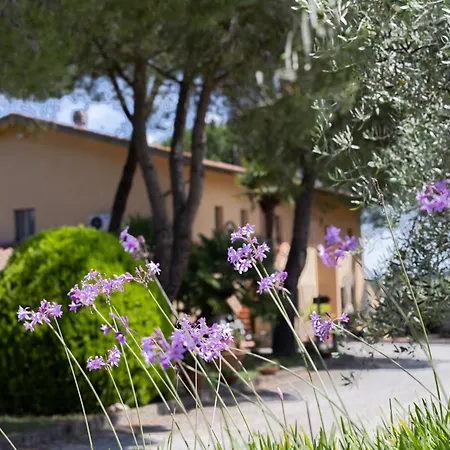 I Girasoli Di Lari - Bilocale La Margherita Apartment