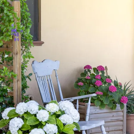 I Girasoli Di Lari - Bilocale La Margherita Appartamento *